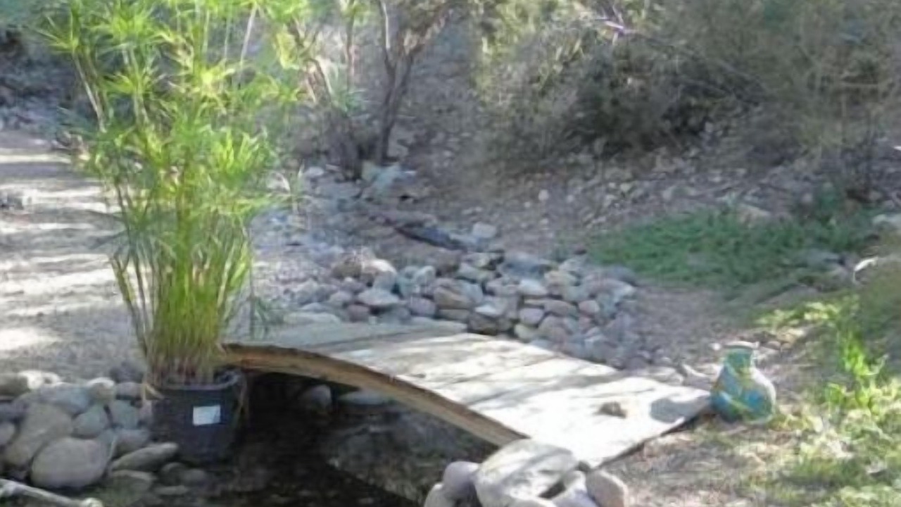 Photo of Outdoor in Starr Pass