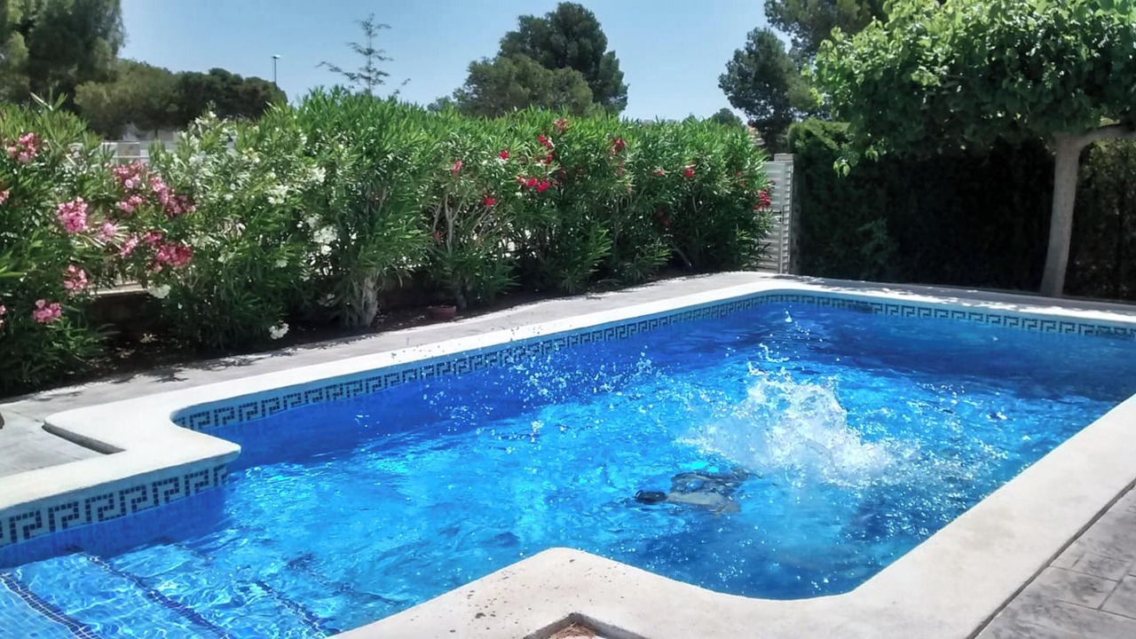 Photo of Outdoor in Calafat