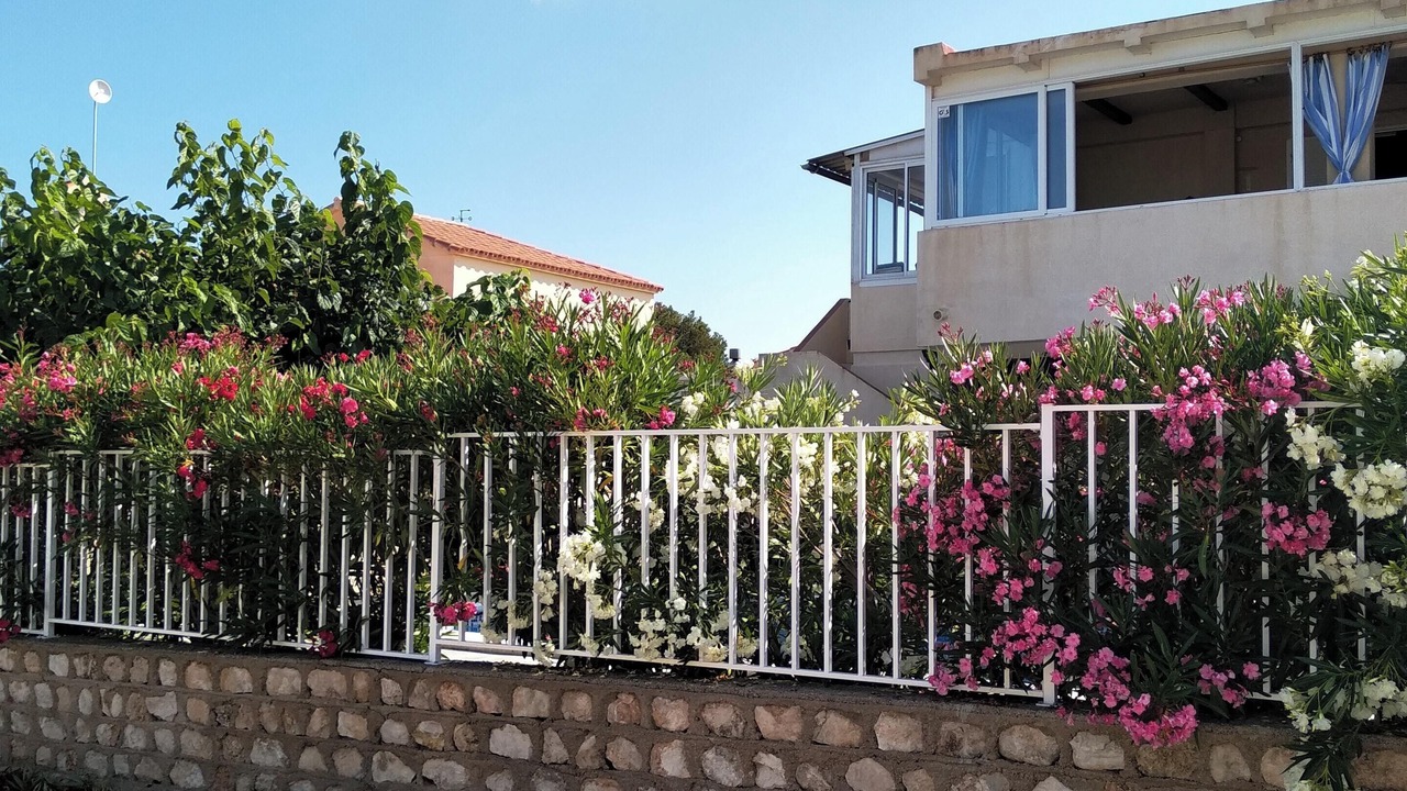 Photo of Others in Calafat