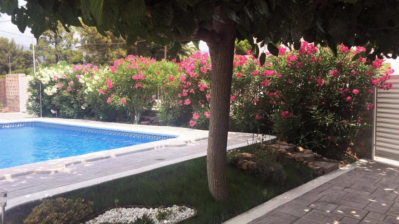 Photo of Outdoor in Calafat