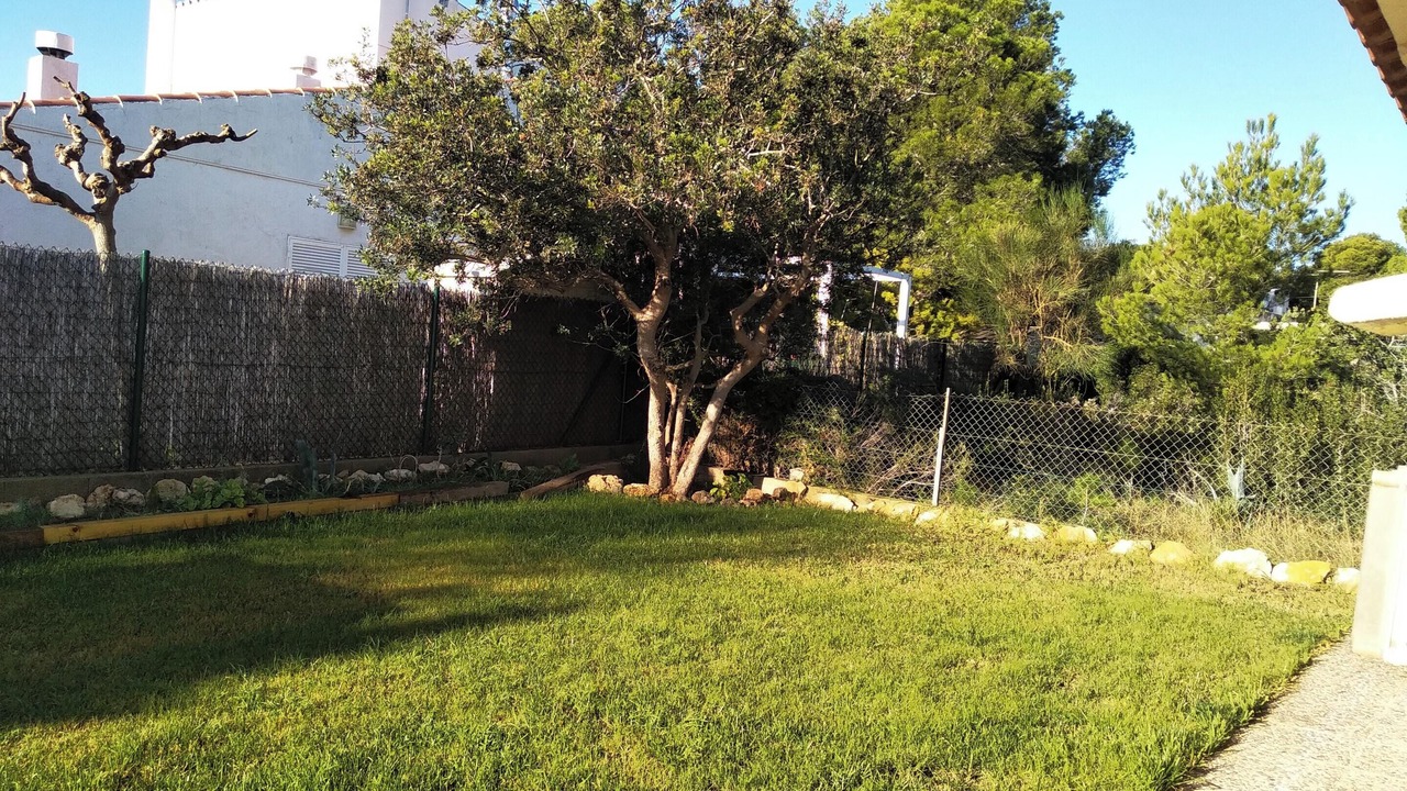 Photo of Outdoor in Calafat