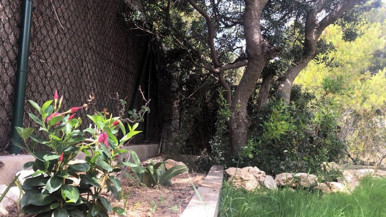Photo of Outdoor in Calafat