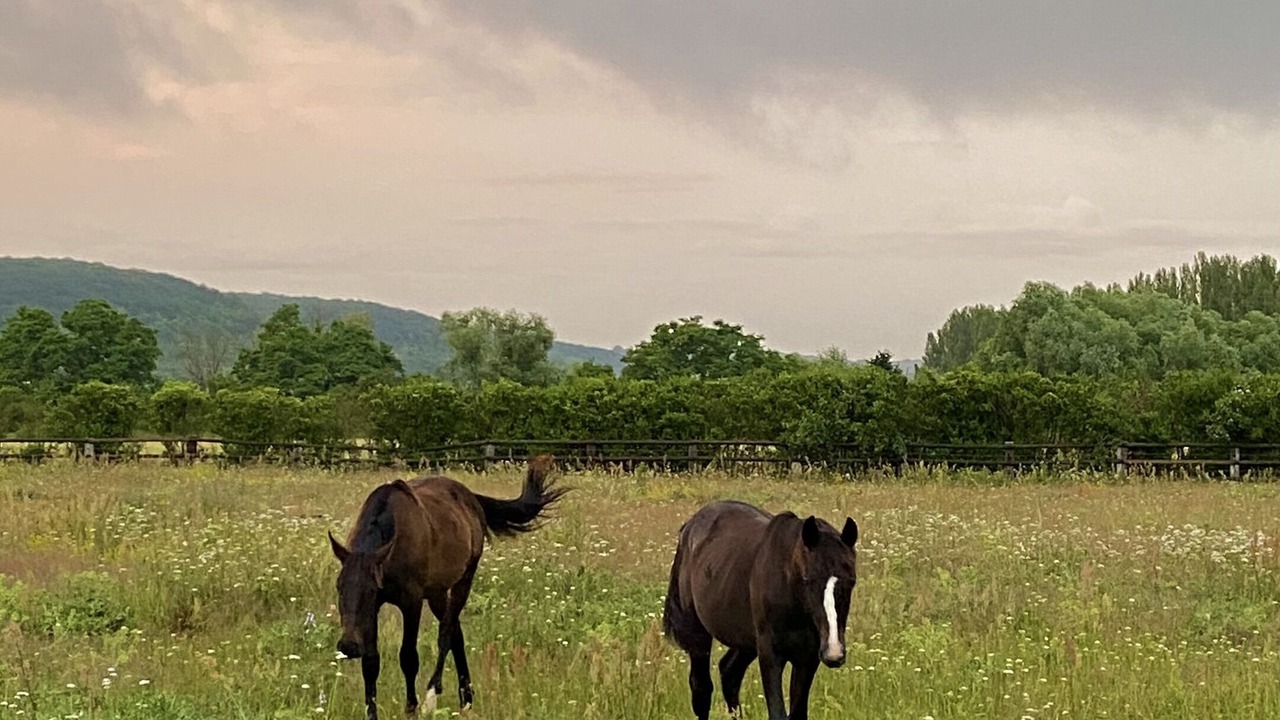 Photo of Outdoor in Notre-Dame-de-l'Isle