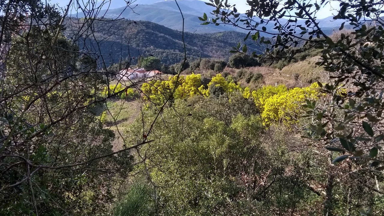 Photo of Outdoor in Reynes