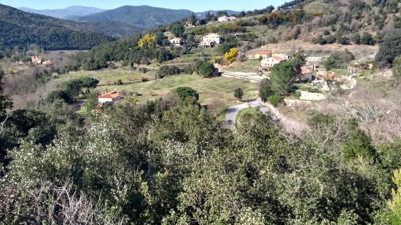 Photo of Outdoor in Reynes