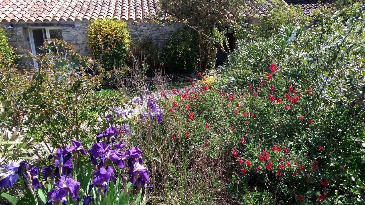 Photo of Outdoor in Reynes