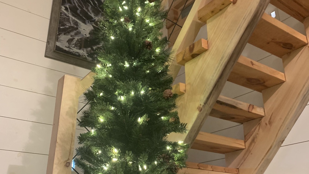 Photo of Others in Wilmington