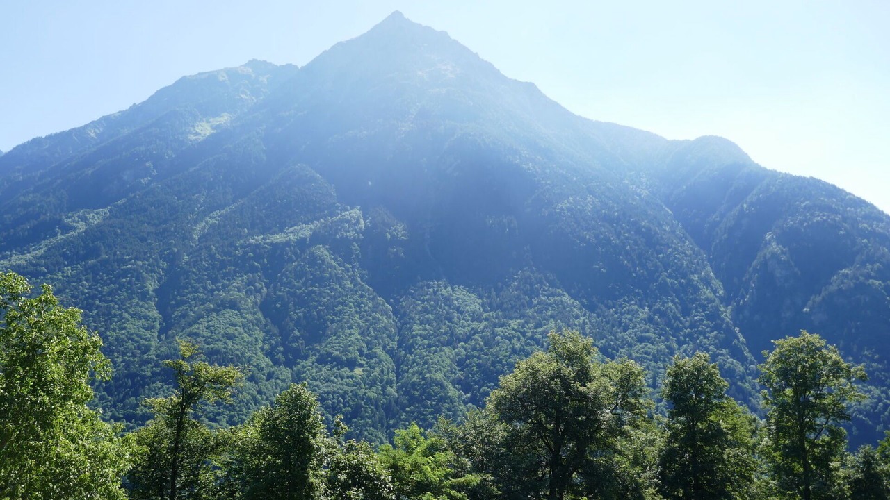 Photo of Others in Negrentino