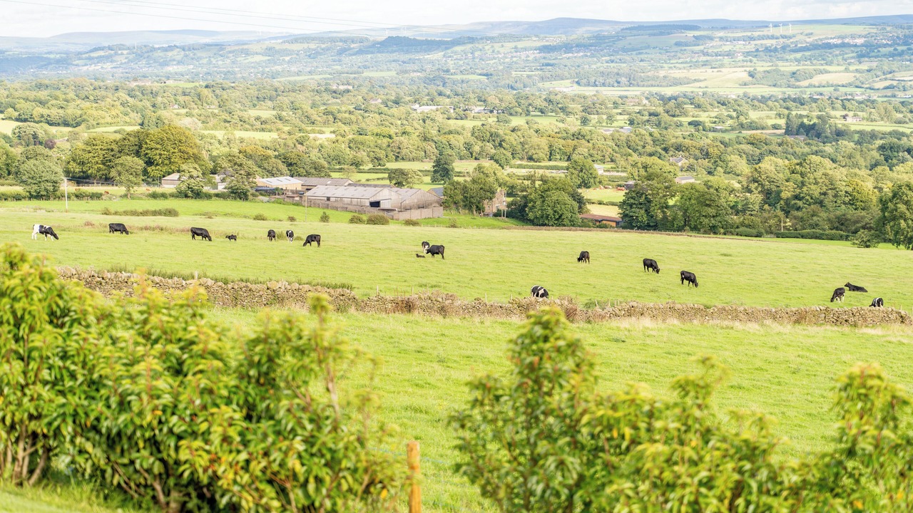 Photo of Others in Higher Walton