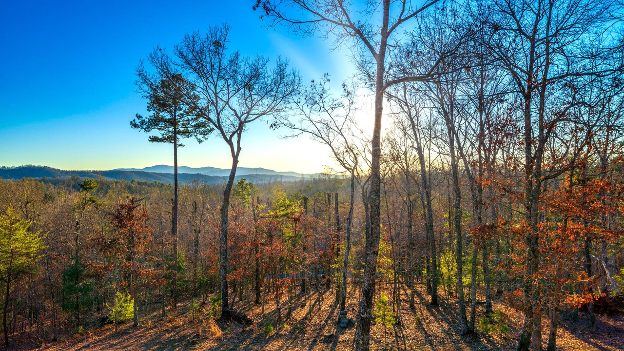 Photo of Outdoor in Morganton