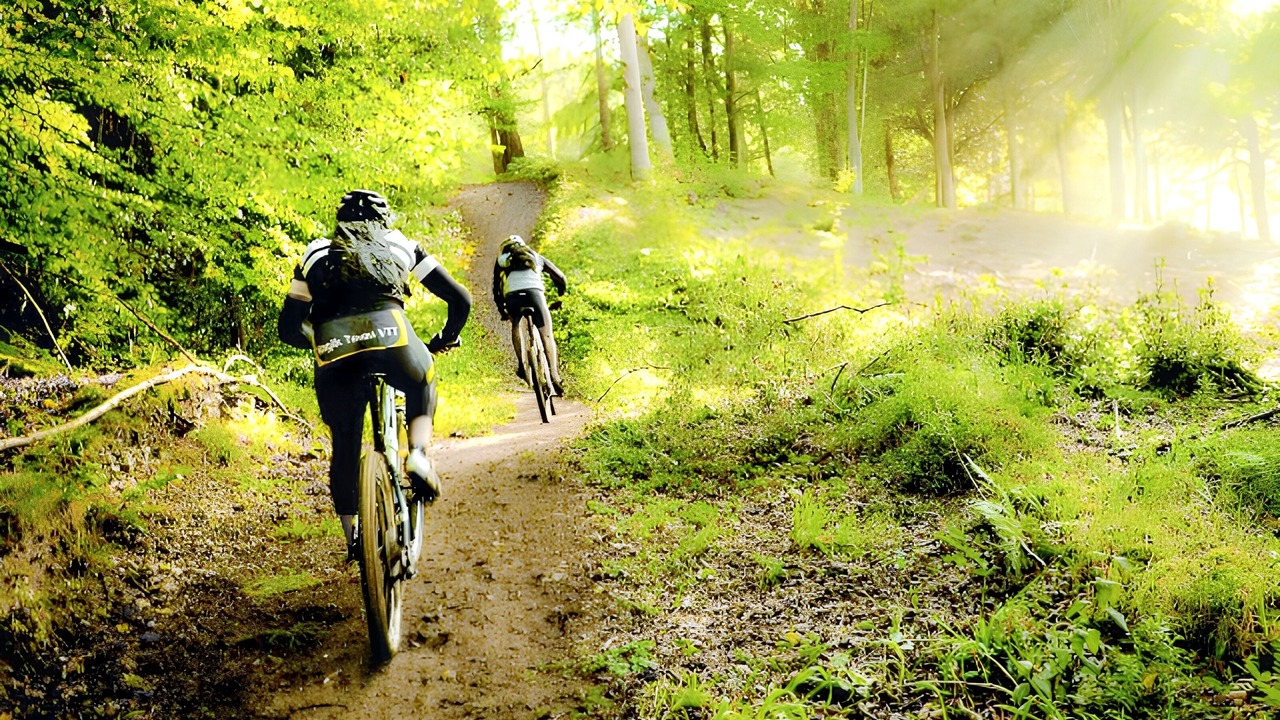 Photo of Others in La Ferriere-aux-Etangs