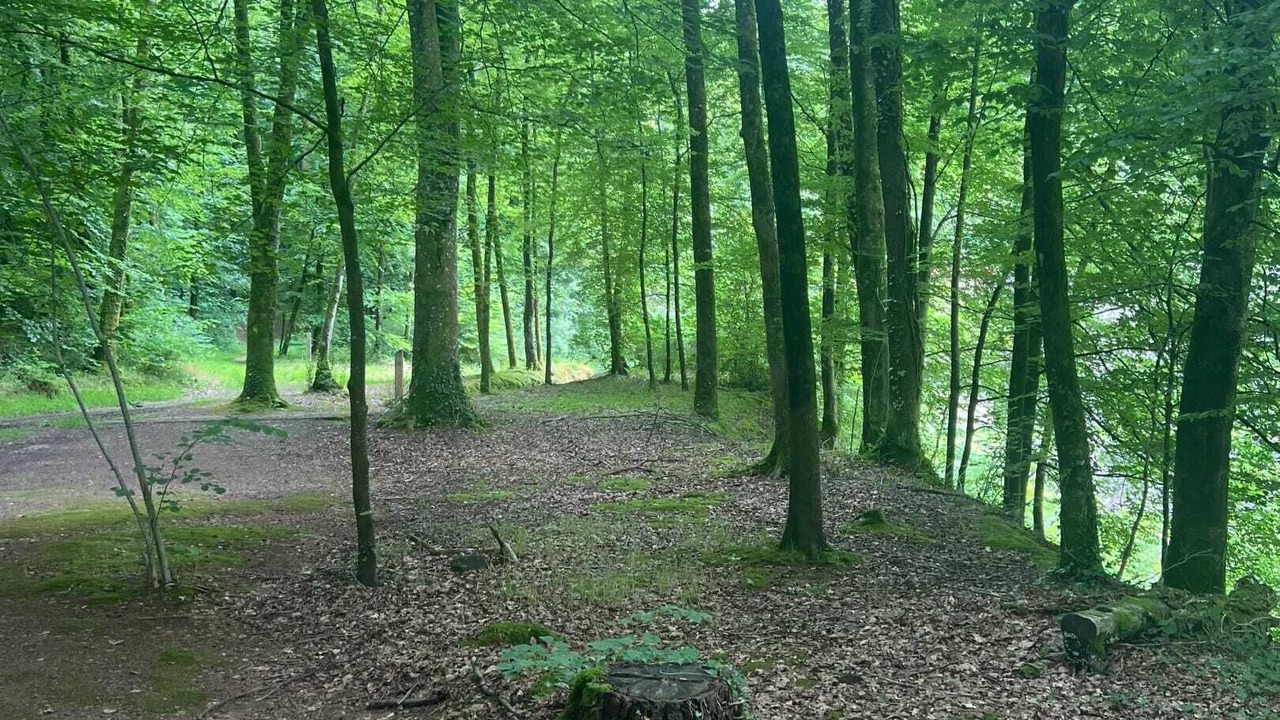 Photo of Others in La Ferriere-aux-Etangs