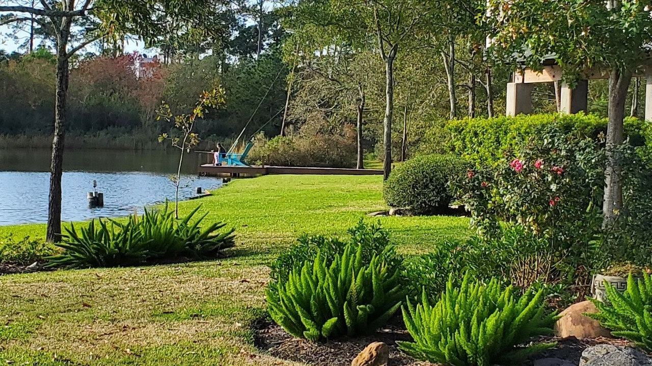 Photo of Outdoor in Shoreacres