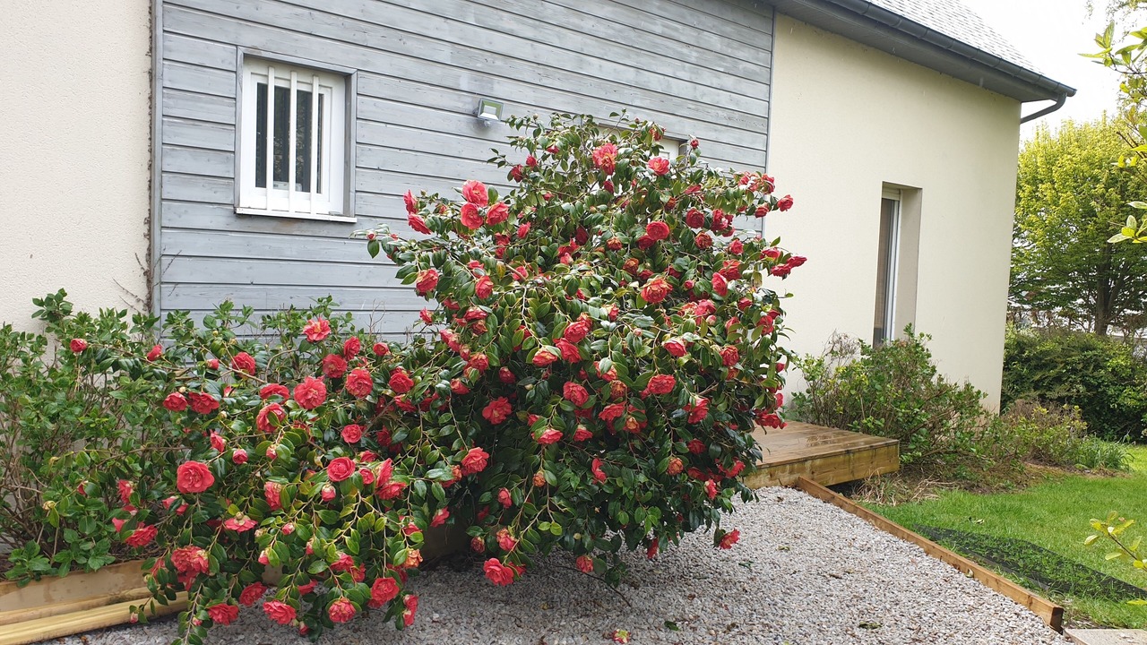 Photo of Outdoor in Thue et Mue