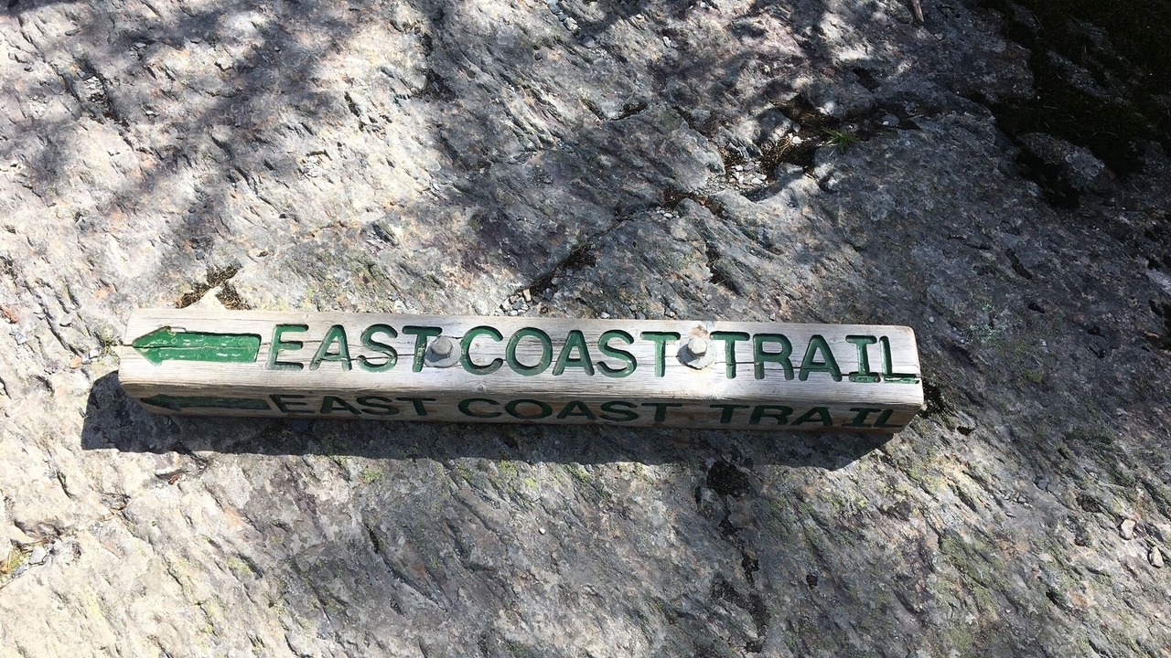 Photo of Outdoor in Cape Broyle