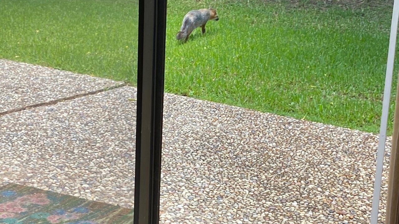 Photo of Others in Briarcrest Estates