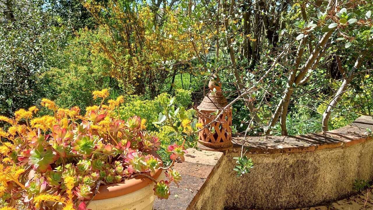 Photo of Outdoor in Souel