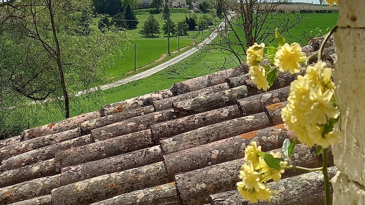 Photo of Outdoor in Souel