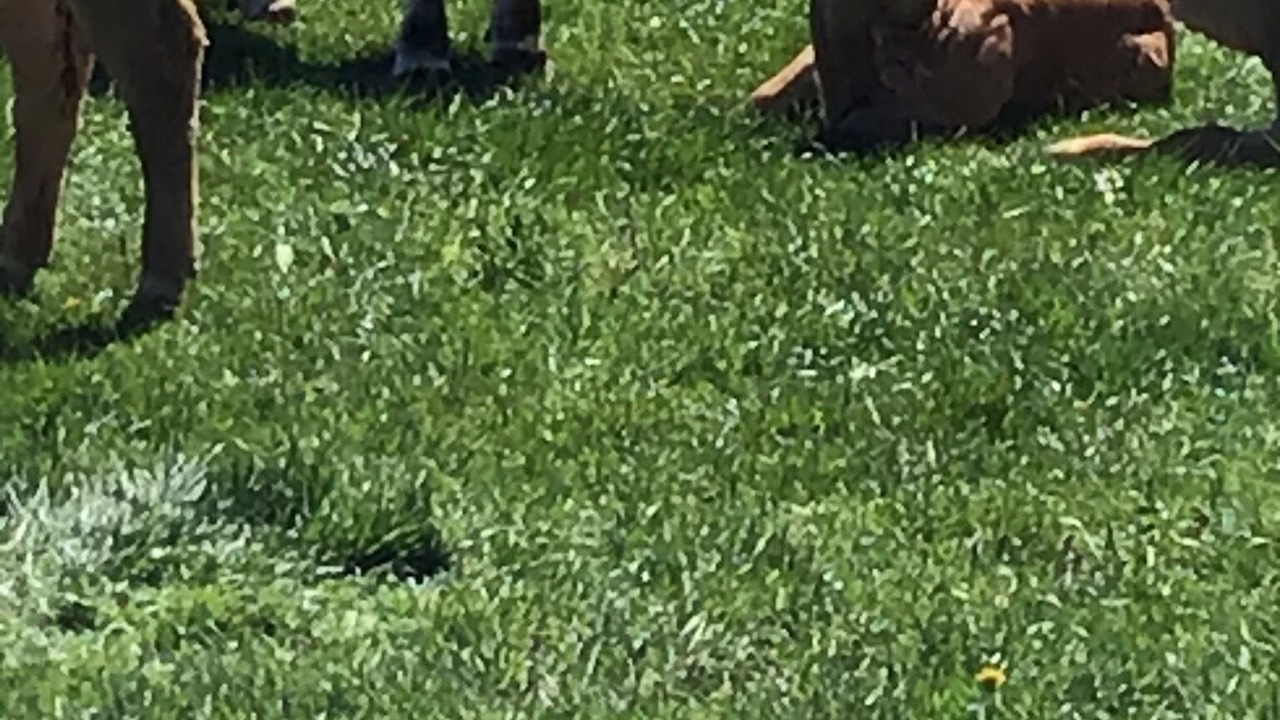 Photo of Outdoor in Cezens