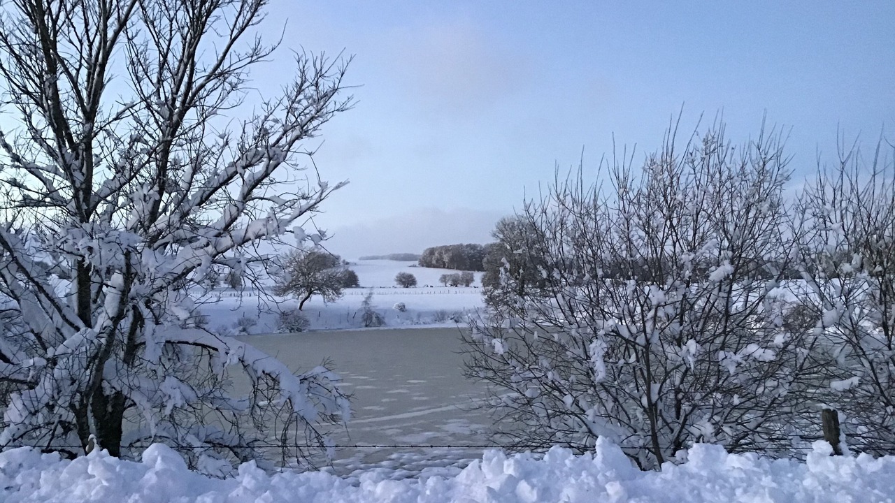 Photo of Outdoor in Cezens