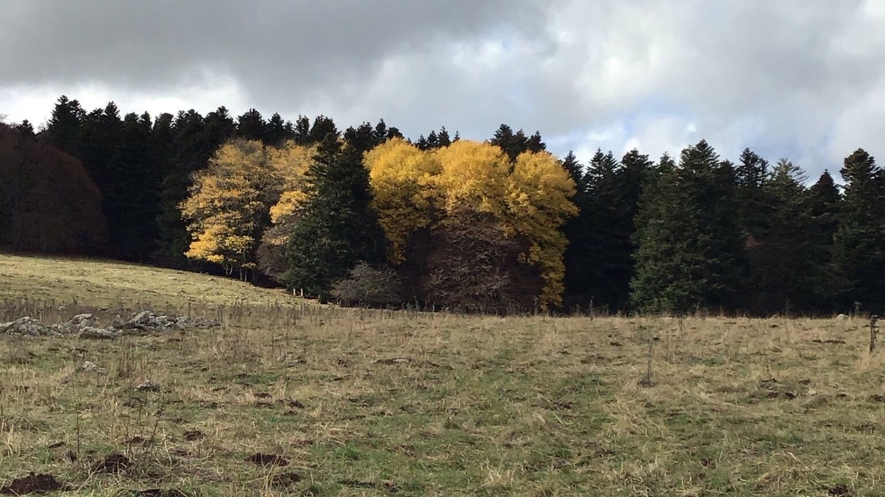 Photo of Outdoor in Cezens