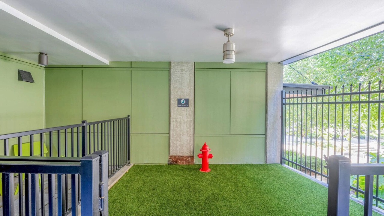 Photo of Outdoor in Old Ballard