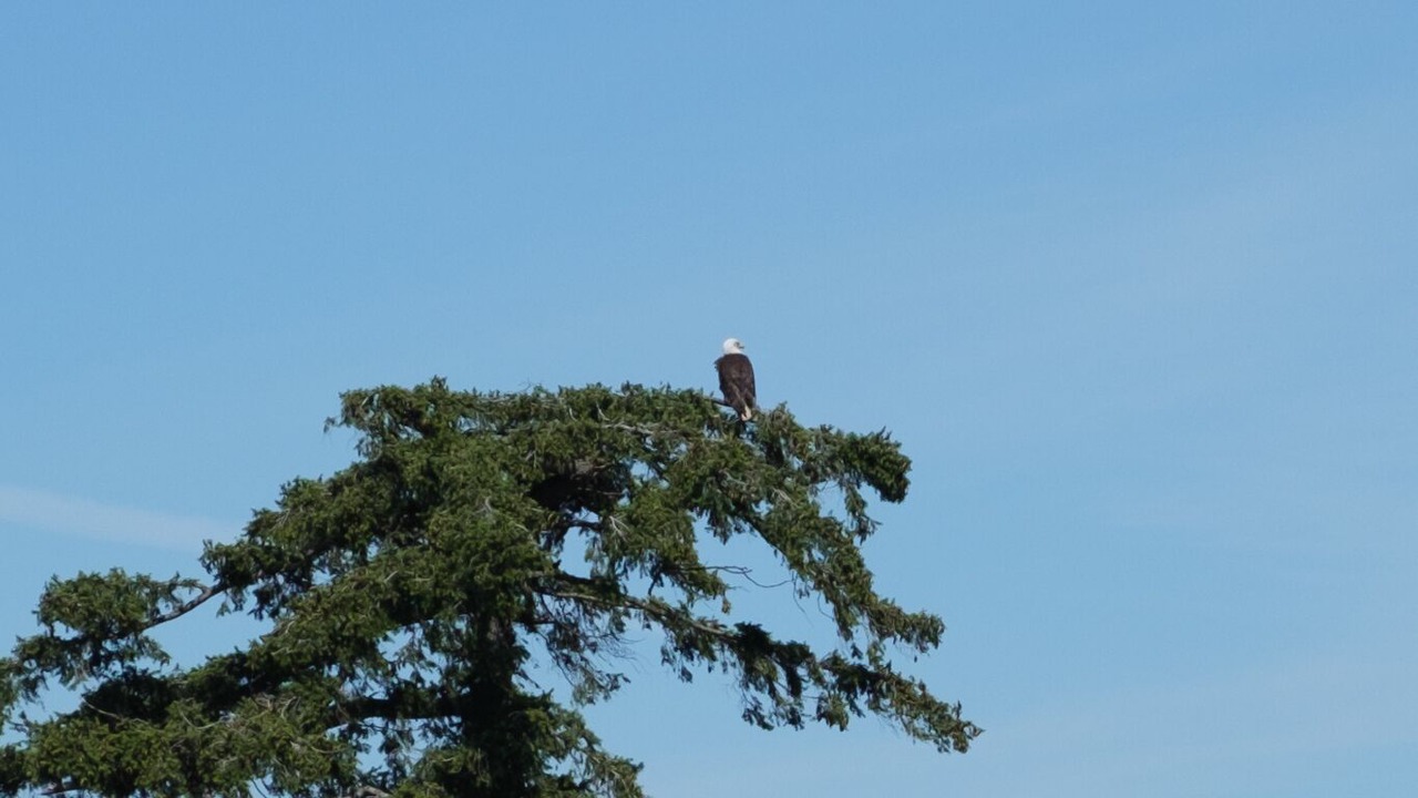 Photo of Patio Balcony in Birch Bay