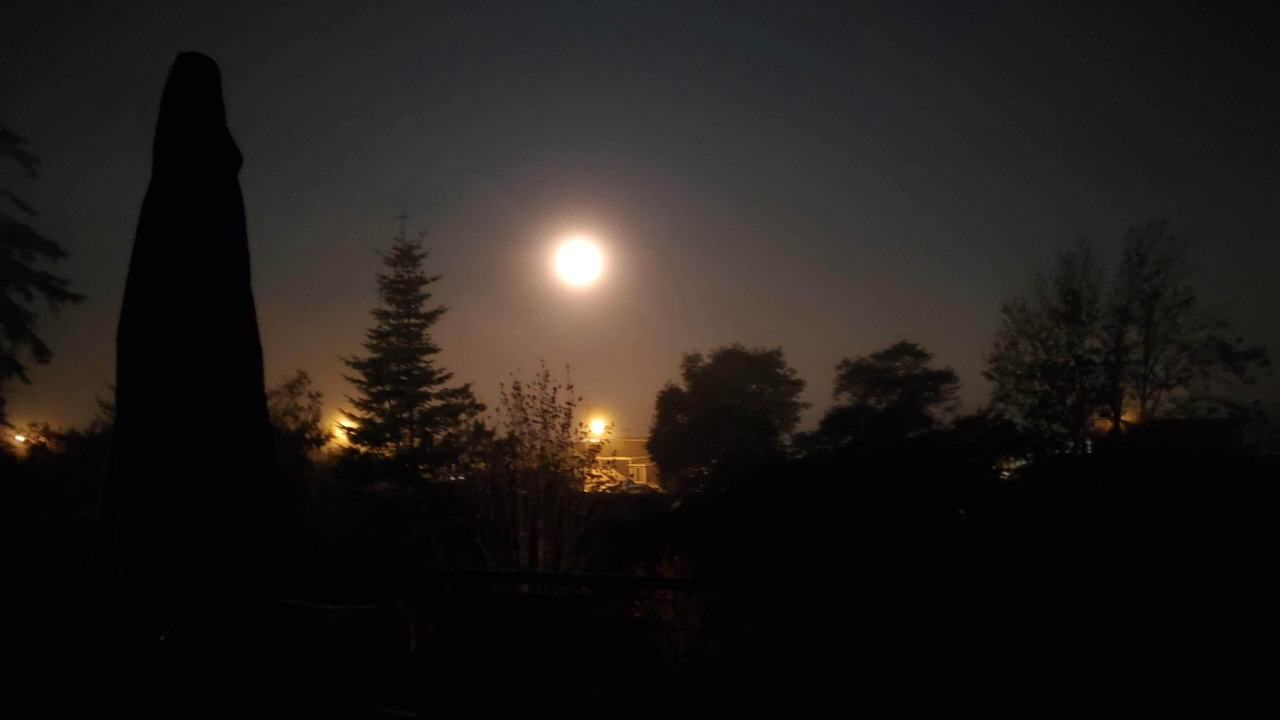 Photo of Others in Birch Bay