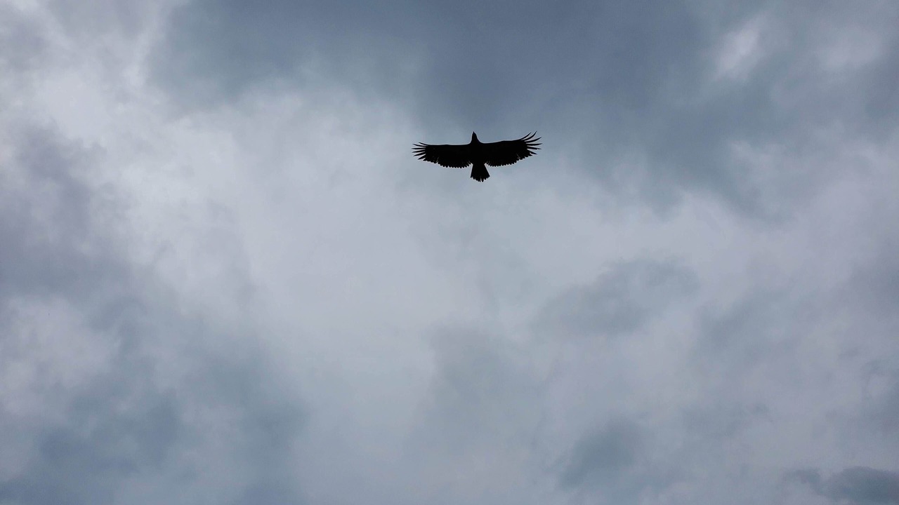 Photo of Others in Birch Bay