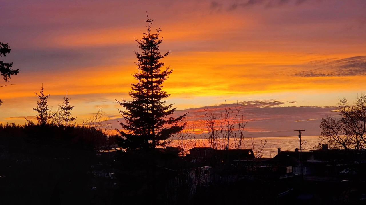 Photo of Others in Birch Bay