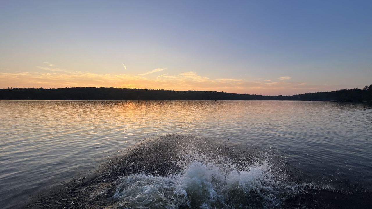 Photo of Others in Fitzwilliam