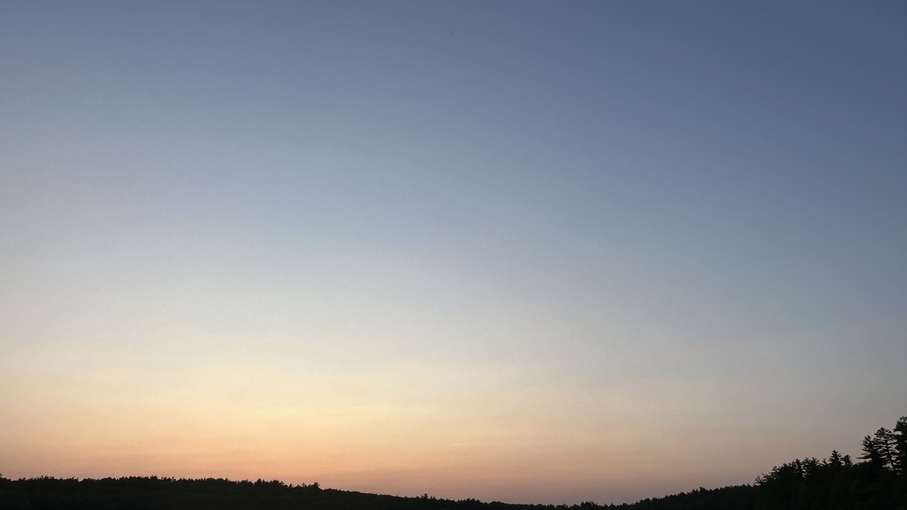 Photo of Others in Fitzwilliam