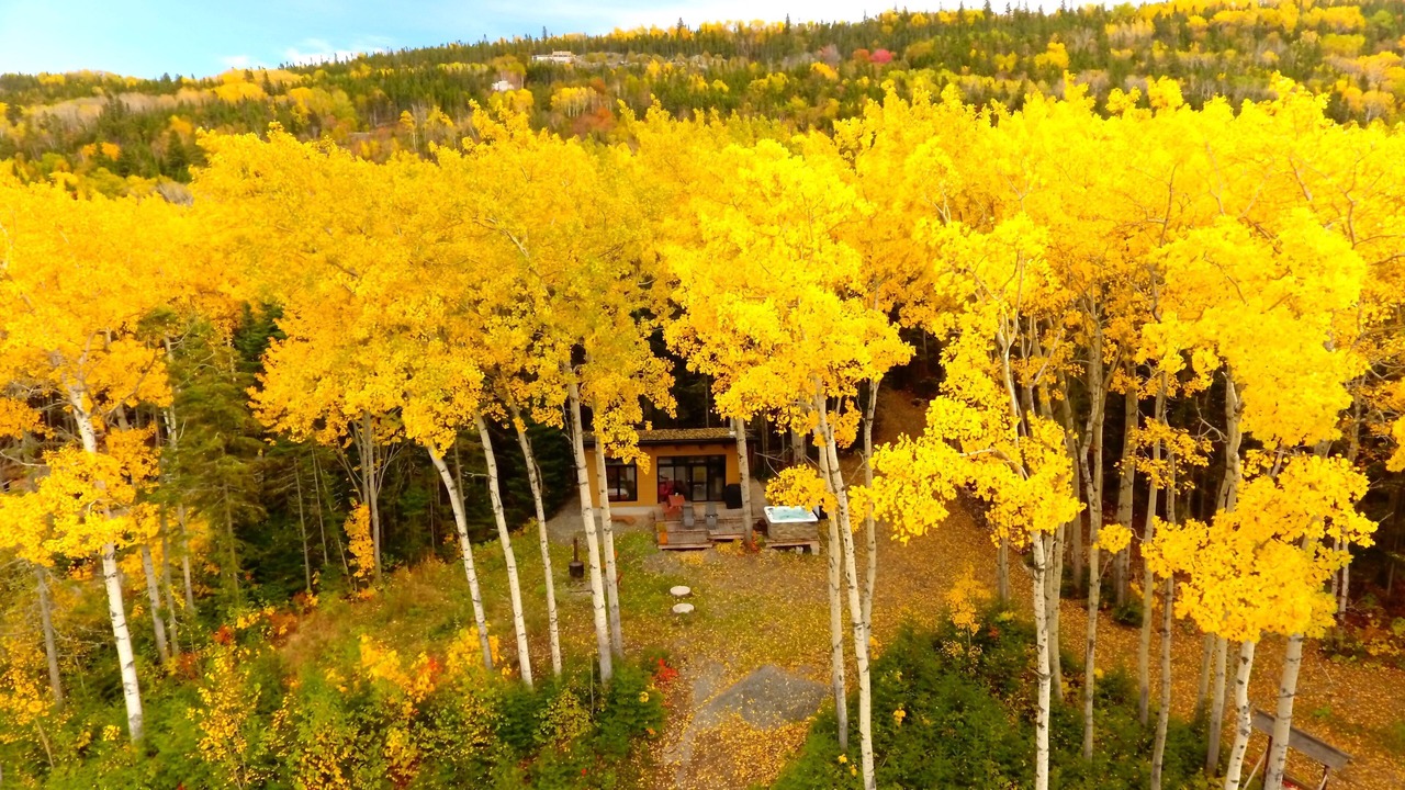 Photo of Outdoor in Saint-Simon
