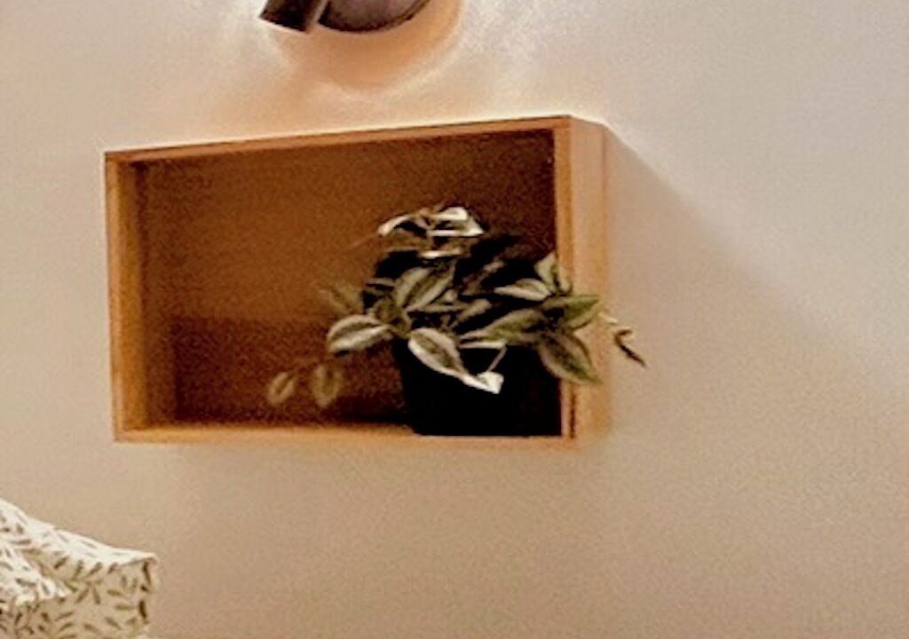 Photo of Bedroom in La Real