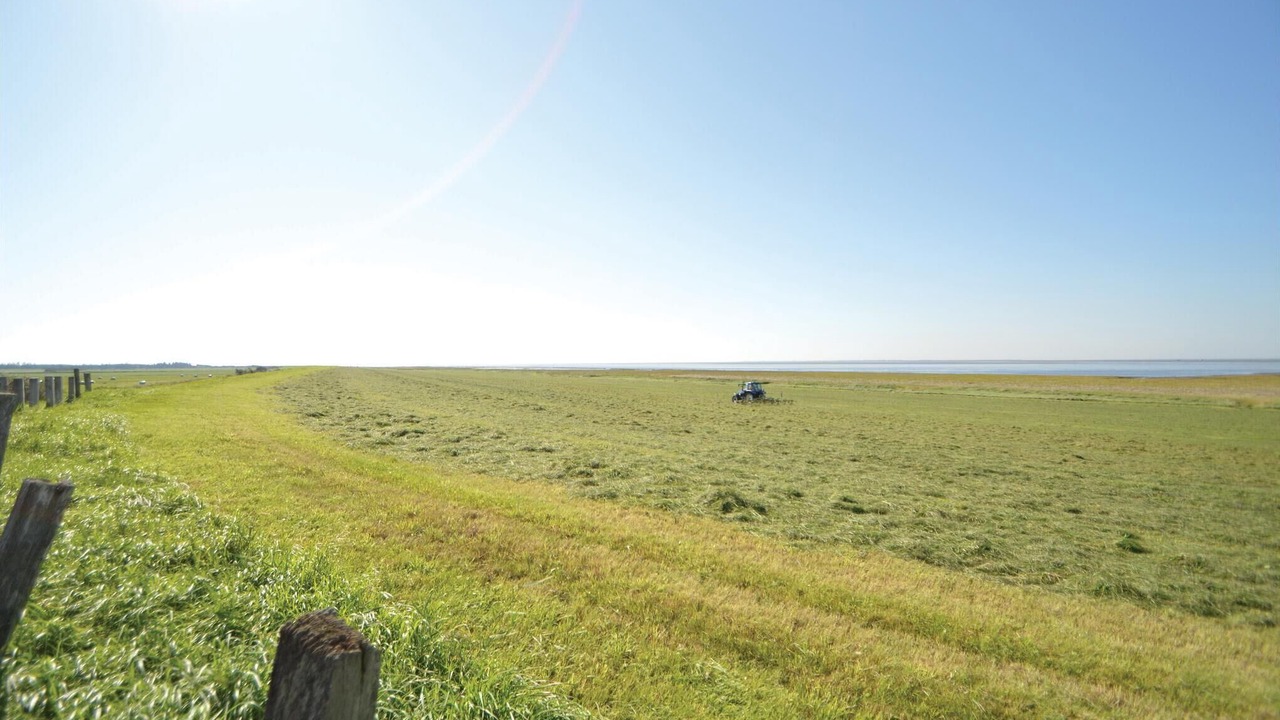 Photo of Others in Sonderho