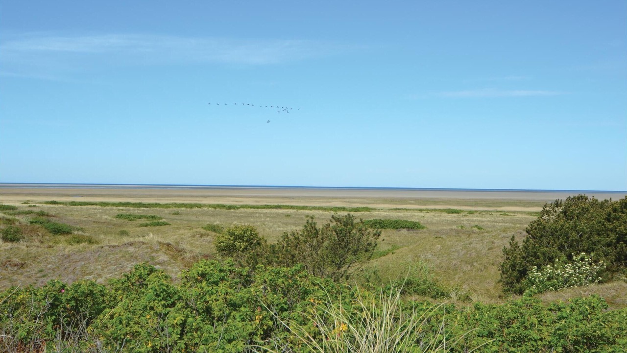 Photo of Others in Sonderho