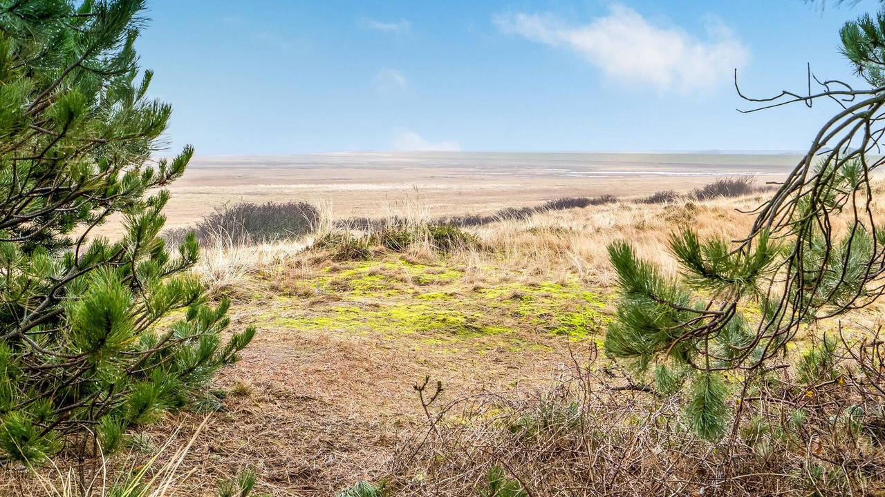 Photo of Others in Sonderho