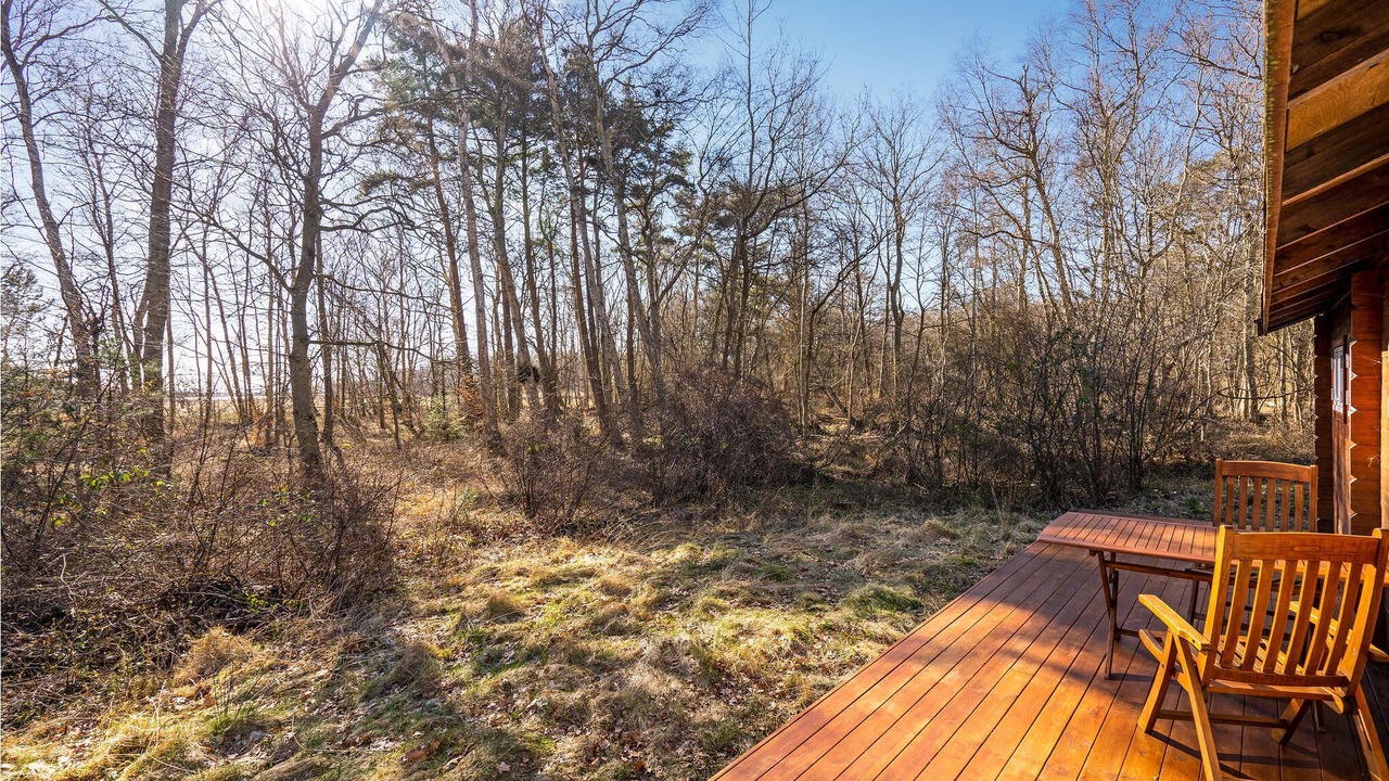 Photo of Others in Stege