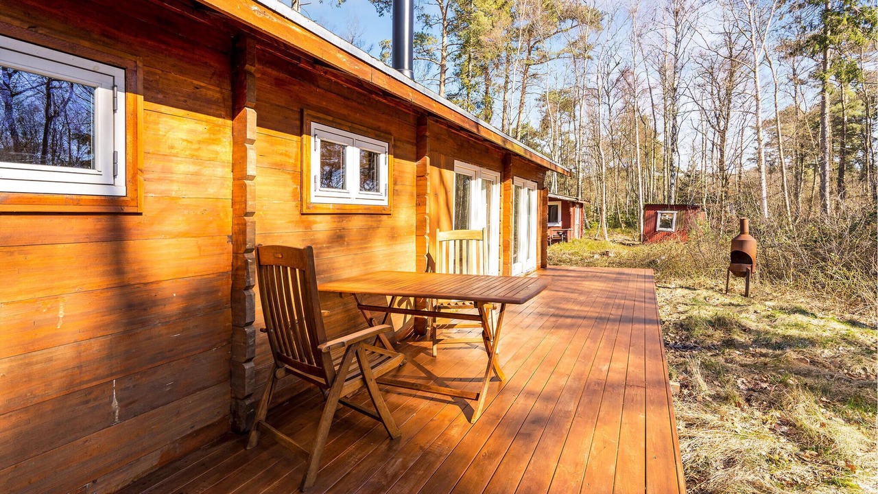 Photo of Others in Stege