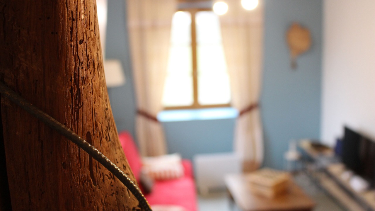 Photo of Livingroom in Charbonnieres-les-Vieilles