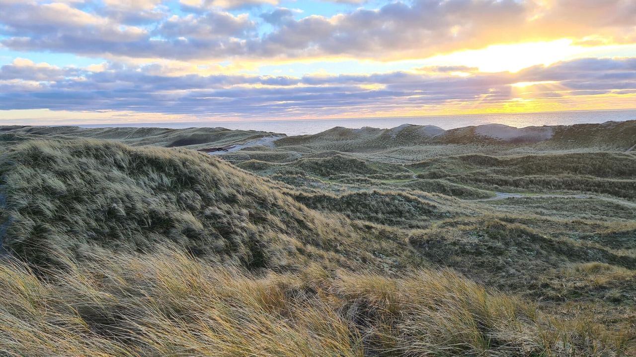 Photo of Others in Hvide Sande