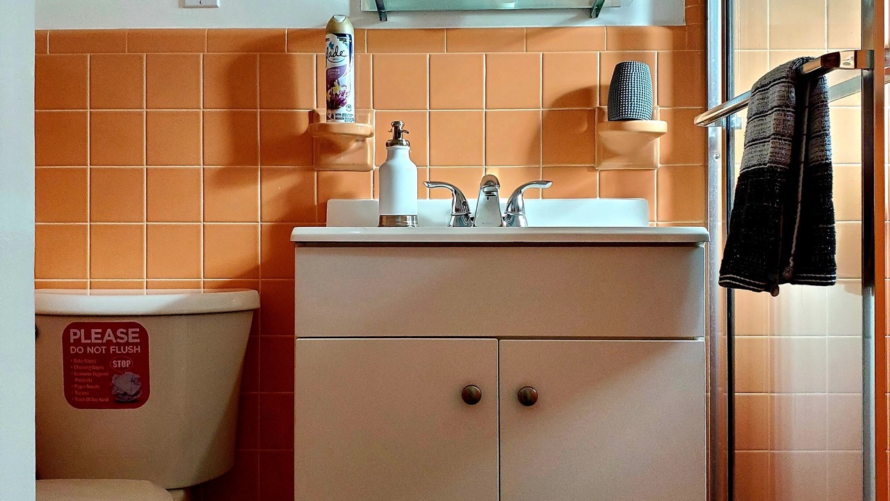 Photo of Bathroom in West Little Havana