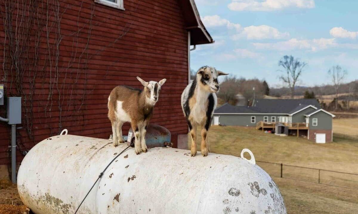 Photo of Others in Bluff City
