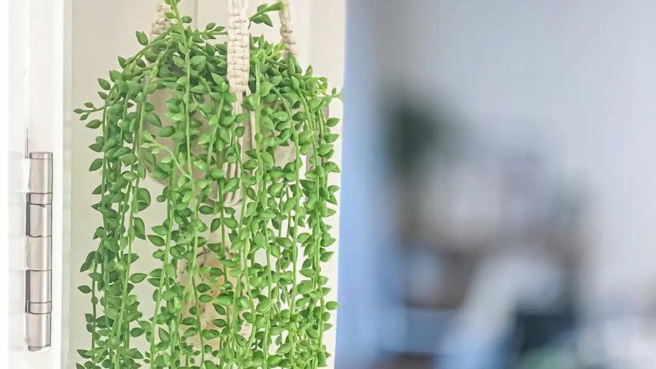 Photo of Others in Perranporth