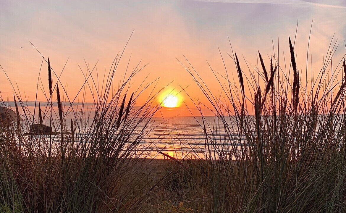 Photo of Others in Perranporth
