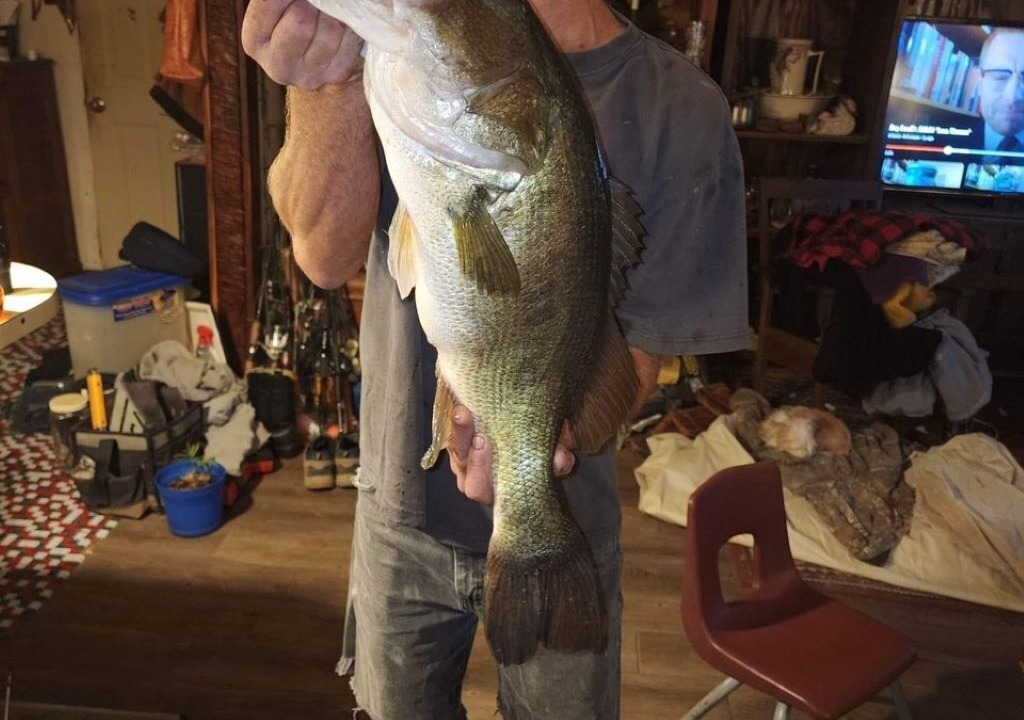 Photo of Others in Hemphill