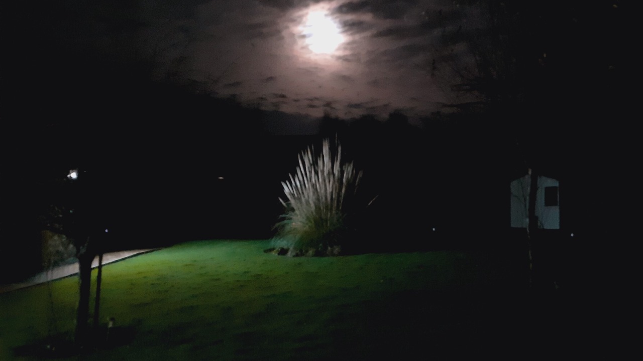 Photo of Outdoor in Beuvrequen