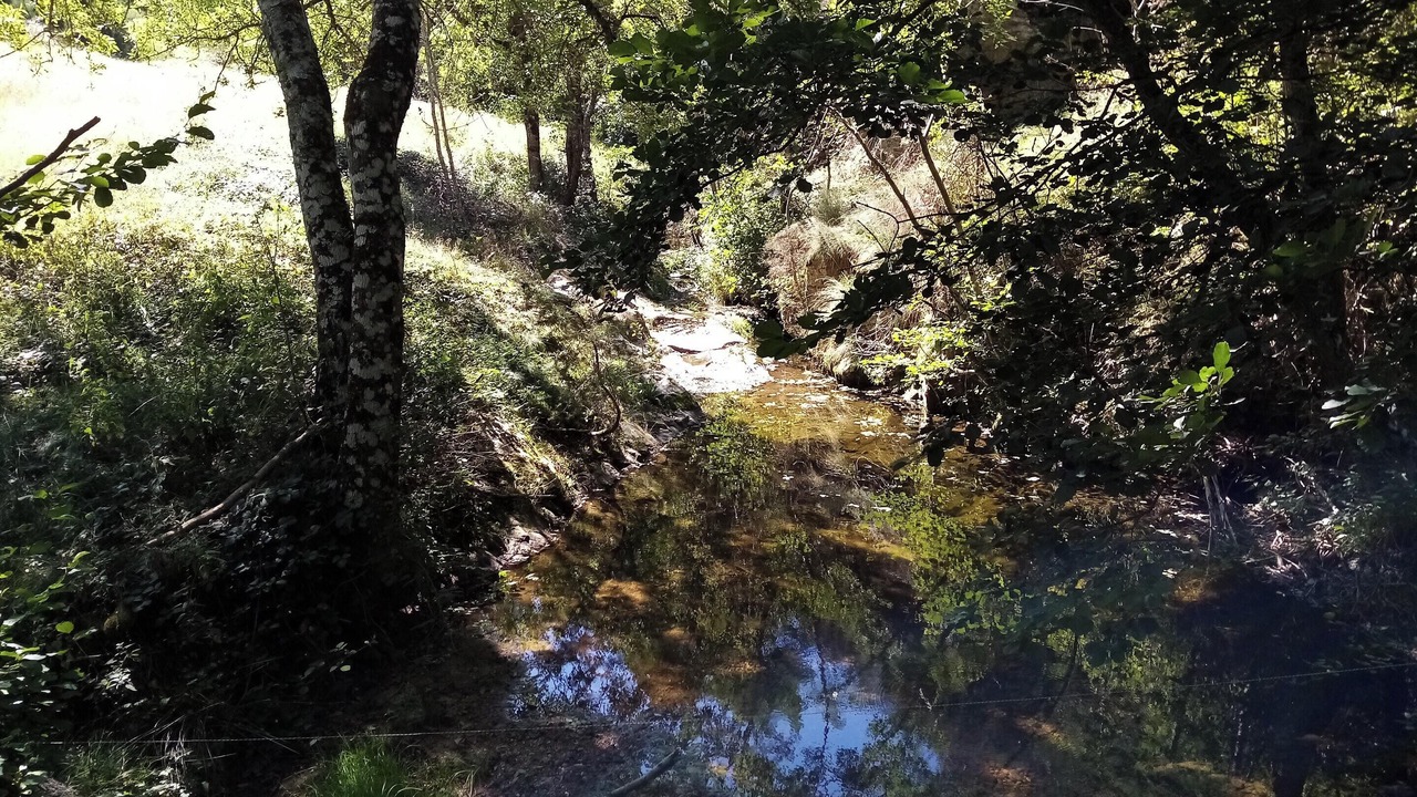 Photo of Others in Saint-Basile