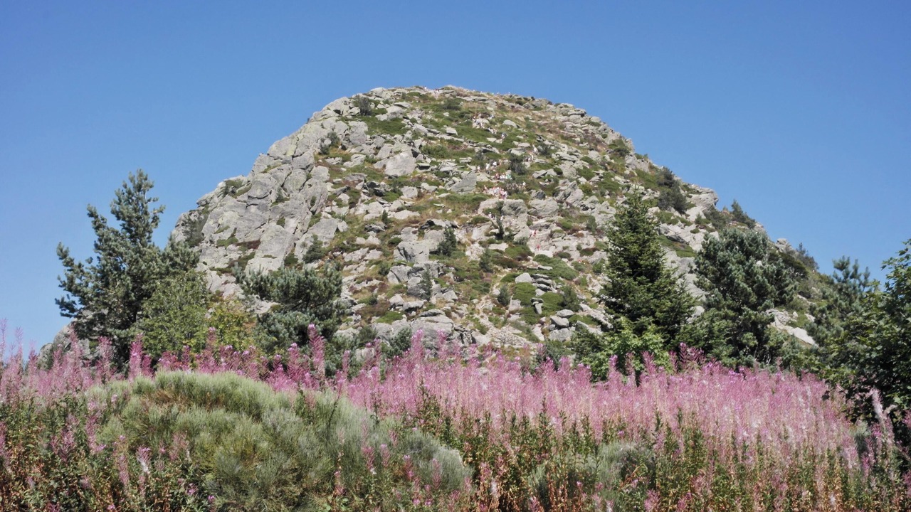 Photo of Others in Saint-Basile