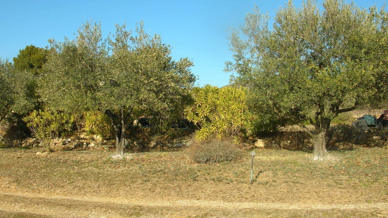 Photo of Outdoor in Merindol-les-Oliviers